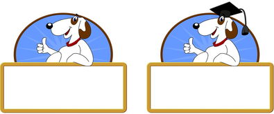 kaiyun官方网站-校园体育活动对大学生心理健康的促进作用，体育锻炼对大学生心理健康促进的意义